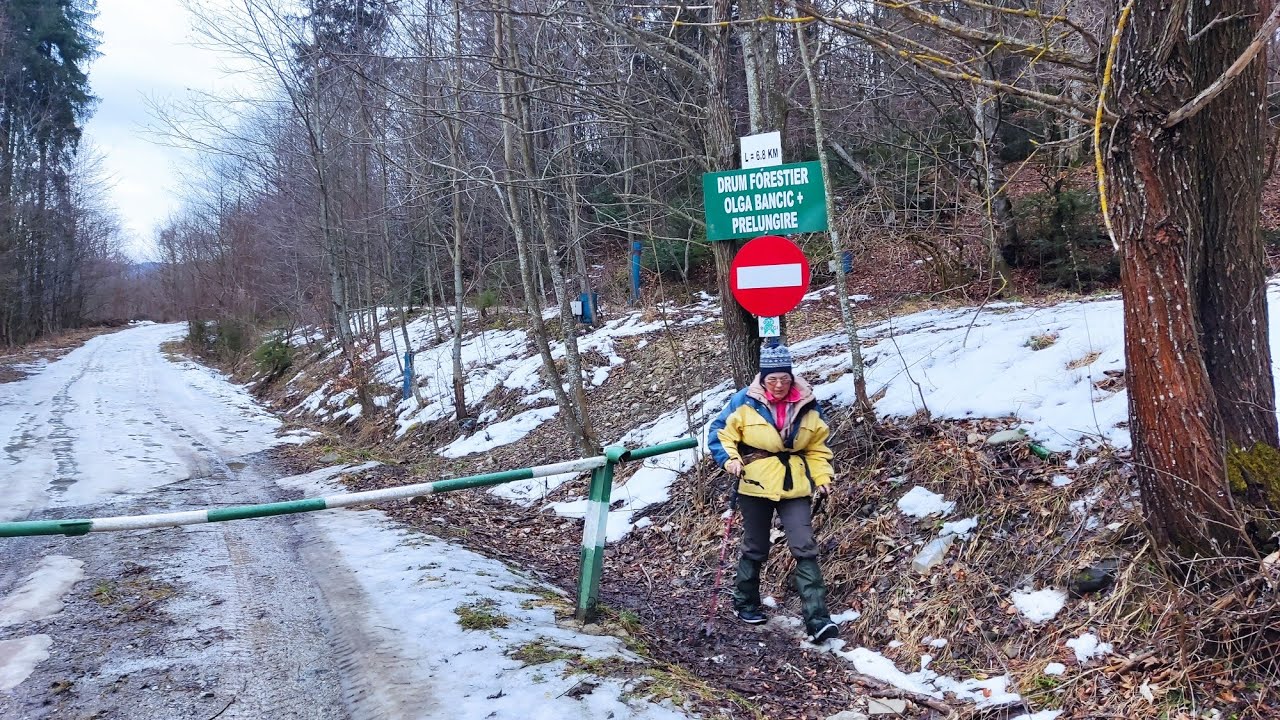 Valea Larga -Olga Bancic, 7 februarie 2026