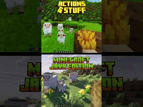Minecraft Animations: Actions & Stuff 1.11 (Bedrock) vs Default Minecraft (Java) #shorts #minecraft