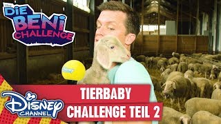 Tierbabys hat Beni schon viele getroffen, aber heute hat er eine ga...
