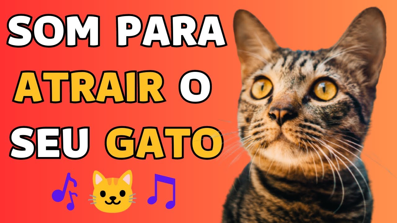 SOM DE GATO MIANDO - SOM PARA ATRAIR E CHAMAR GATOS - CHAMAR A ATENÇÃO ...