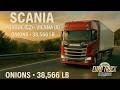 SCANIA Prague (CZ) Vienna (A) Onions 38,566 lb Euro Truck Simulator 2