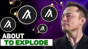 A HUGE WARNING! FROM ELON MUSK TO ALGORAND HOLDERS??