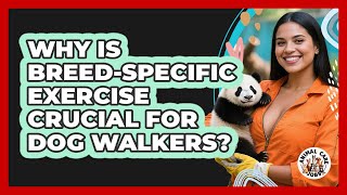 Why Is Breed-specific Exercise Crucial For Dog Walkers? - Animal Care Jobs