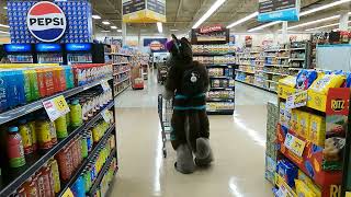 Furry goes grocery shopping