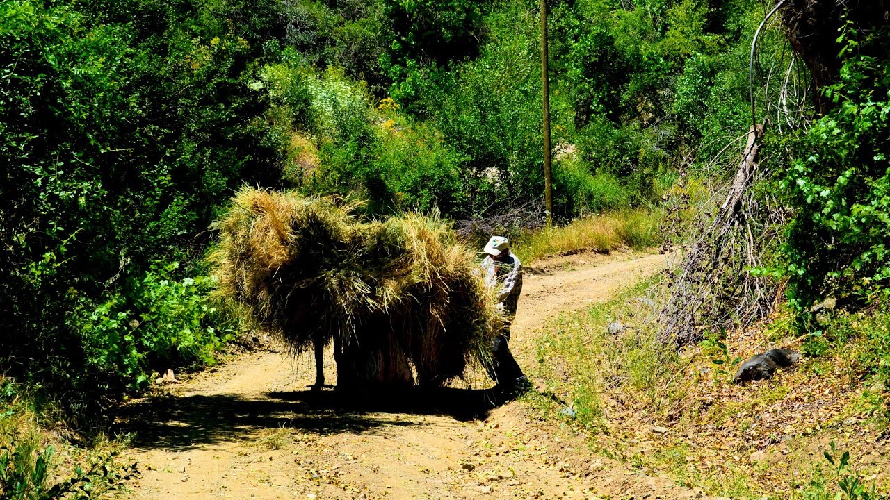 2005 yılı Seringöze köyünü geziyoruz