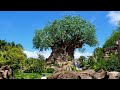 Disney's Animal Kingdom Walking Tour w/ Rides in 4K | Walt Disney World Florida September 2020
