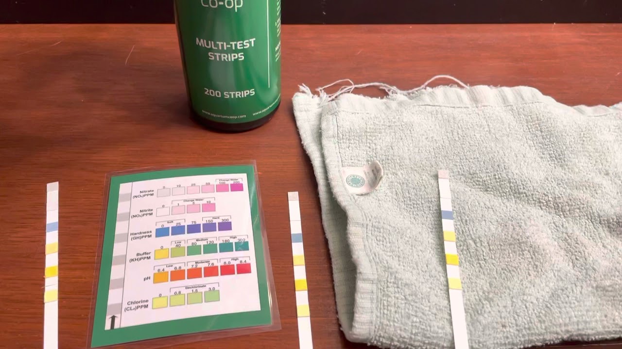 Aquarium Coop Test Strip Tips YouTube