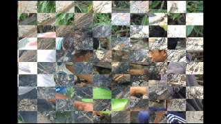 480 hours @panikiang island part 2 .kab barru sul-sel