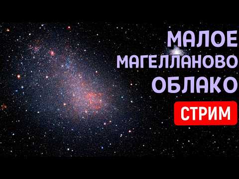 Путешествие по Галактике Малое Магелланово Облако | SpaceEngine | Стрим