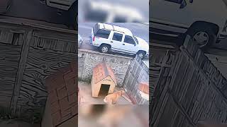 😂 USA Virals funny tiktok videos #FunnyTikToks #virals #funny