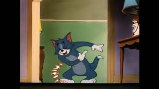 Tom Laughing Template Video funny meme material tom & Jerry