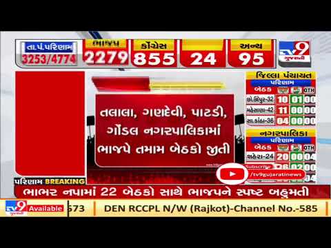 Gujarat Civic Body Polls: Congress wins big in Maliya Miyana Nagarpalika | TV9Gujaratinews