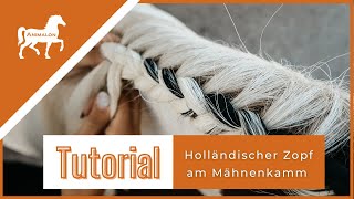 Tutorial Pferde-Flechtfrisur | Holländischer Zopf | Die coolsten Frisuren für Mähne und Schweif