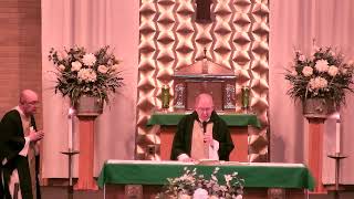 7/8/26 Wednesday of the Fourteenth  Week  in Ordinary Time