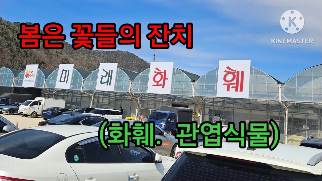 봄꽃들의 잔치 미래화훼단지를 가다.  #미래화훼단지 #화훼 #꽃