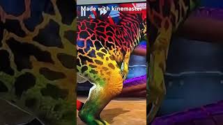 Maxed Allosauruss Groan