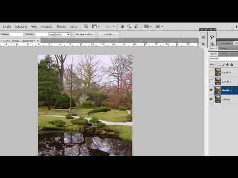 Tutorial Photoshop Cs  - Trasformare una foto in un Dipinto ( photoshoppista )