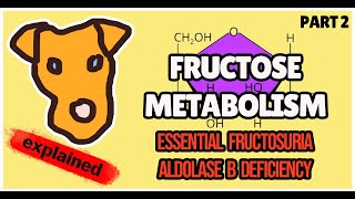 Disorders Of Fructose Metabolism Fructokinase Deficiency. Aldolase B Deficiency For Step 1