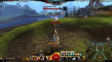 Guild Wars 2 Tempest scepter/warhorn wvw roaming pvp 2020