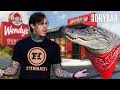 Robbing wendys with an alligator shayne smith