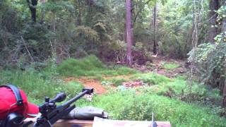 RUSSEL'S ARMALITE AR50