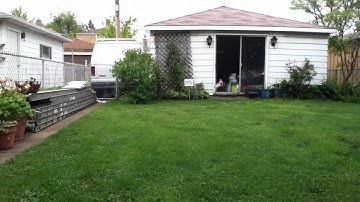 MCPX v2 w/ KBDD Tail Blades