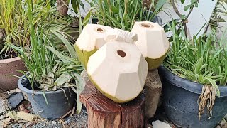 fantastic coconut cutting skill