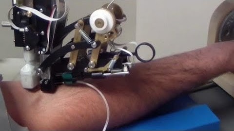 Ready or Not: The World