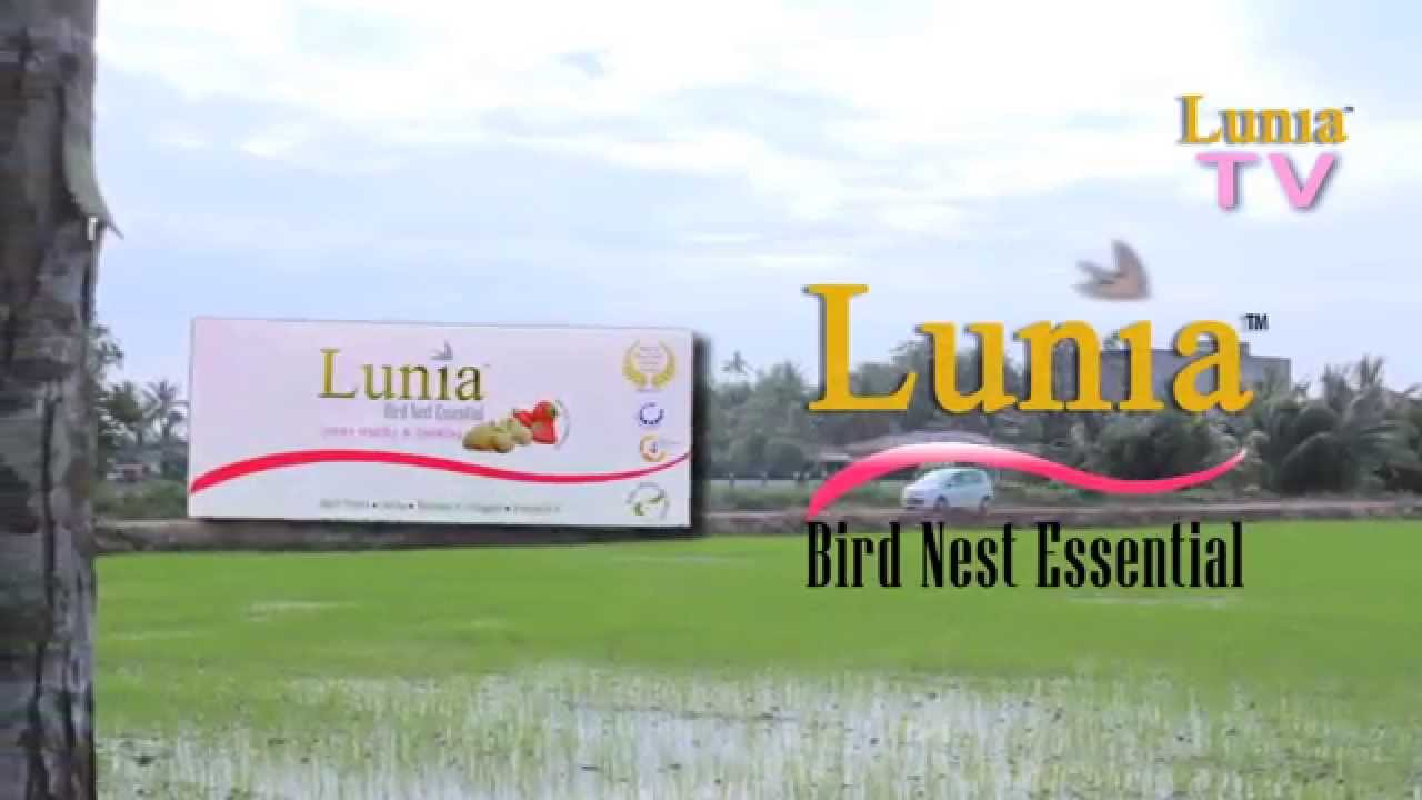 Lunia Bird Nest Essential Official TV Commercial