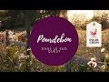 Rencontre Pourdebon dans le Sud-Ouest