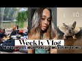 VLOG| NEW HAIR FOR FALL, LONG AWAITED REWARD, DOGSITTING...IS HARD, TOP GOLF DATE, + LUXURY PICNIC.