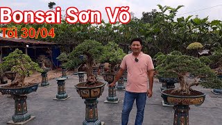 Tri ân giảm giá một số cây Bonsai vườn Sơn Võ ở Bến Tre nhân dịp lễ lớn 