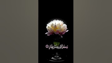 صباح الخير💕حالات واتس اب مقاطع قصيره💕قران سورة الرعدالله يعلم ما تحمل كل أنثى💕احمد النفيس💕بدون حقوق