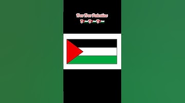 Free Palestin🇵🇸😭❤️🤲🤲🤲 #palestine #flag #art #shorts #viral #painting