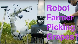 Can humanoid robot farmer revolutionise grape picking in vineyards?
