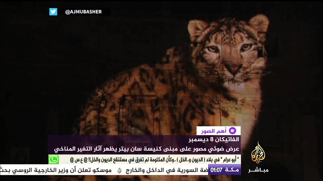 آثار التغير المناخي في عرض ضوئي بالفاتيكان