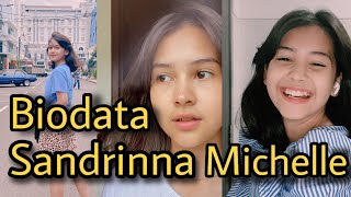 Biodata Sandrinna Michelle | Pemain Sinetron Dari Jendela SMP