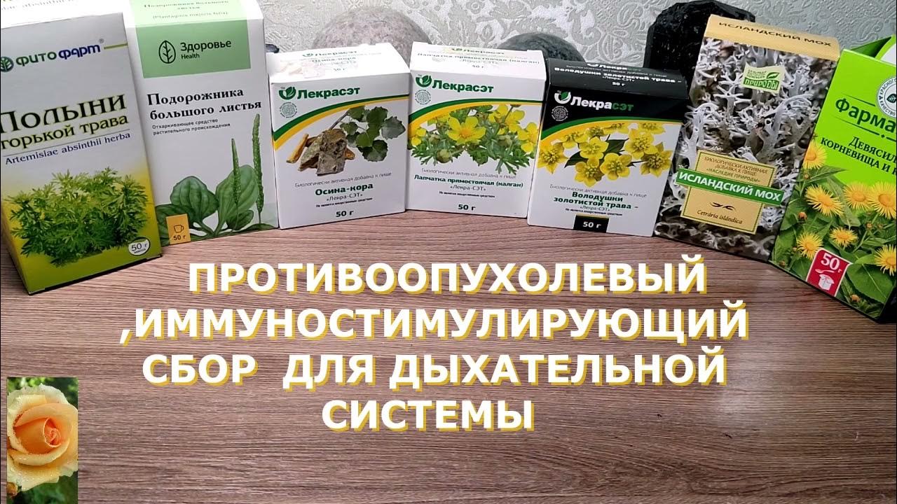 ПРОТИВООПУХОЛЕВЫЙ, ИММУНОСТИМУЛИРУЮЩИЙ, ОЧИЩАЮЩИЙ СБОР ДЛЯ ДЫХАТЕЛЬНОЙ ...