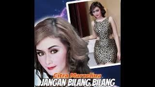 Jangan Bilang Bilang