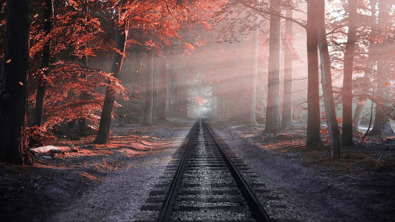 感情に疲れた夜の回復ヒーリング音楽｜25分