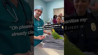 Vat vs. Parrot