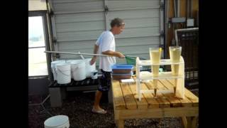 Famous Video #24 Shrimp sampling in the 100 m3 Raceway 1 Net Worth