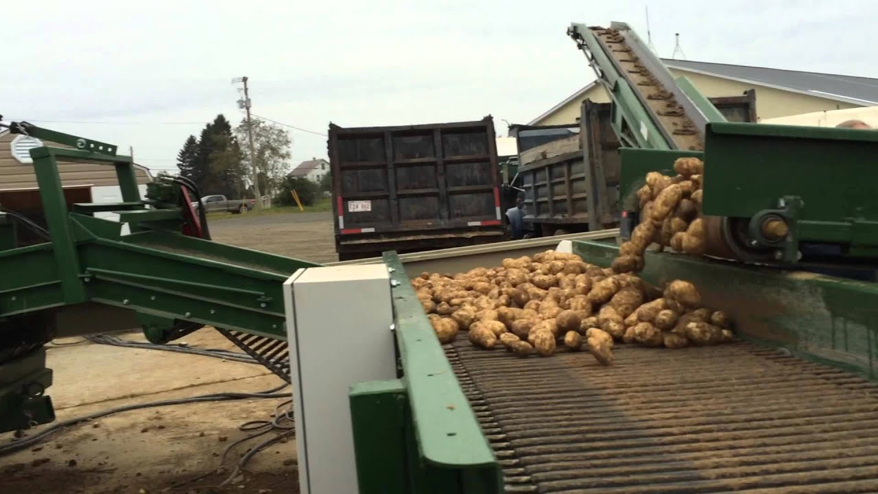 River Valley Potatoes, Our New Vacs-8