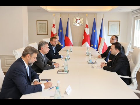 შეხვედრა ჩეხეთის რესპუბლიკის იუსტიციის მინისტრთან