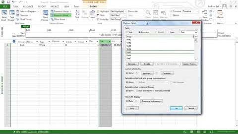 Custom Fields