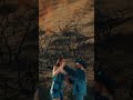 Cowboys Don’t Cry - Oliver Tree 🥲 A place in the heart 🥀 #Shorts