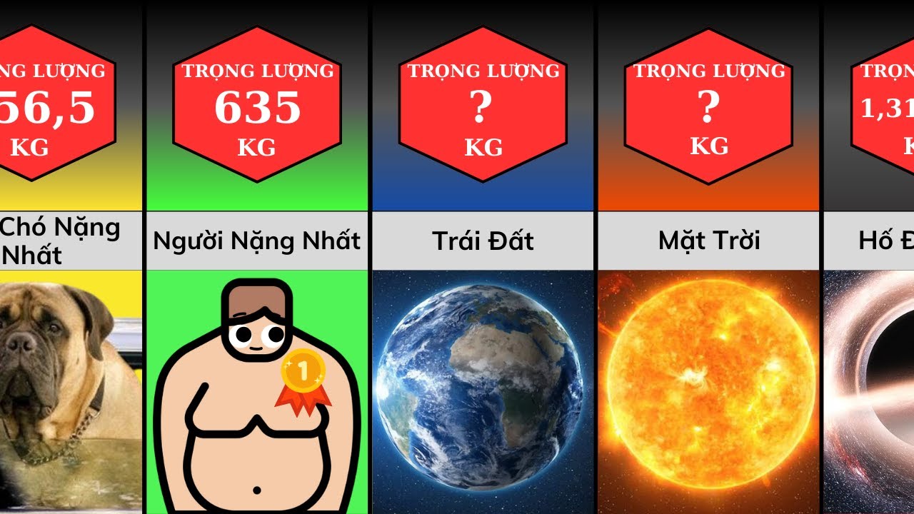 So Sánh: Những Thứ NẶNG Nhất Trong Vũ Trụ