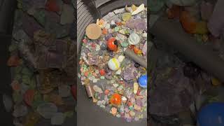 @johneiermannDigginFLA Paydirt From Rose Monkey Fest 2025 #shorts #gold #goldpanning #goldrush