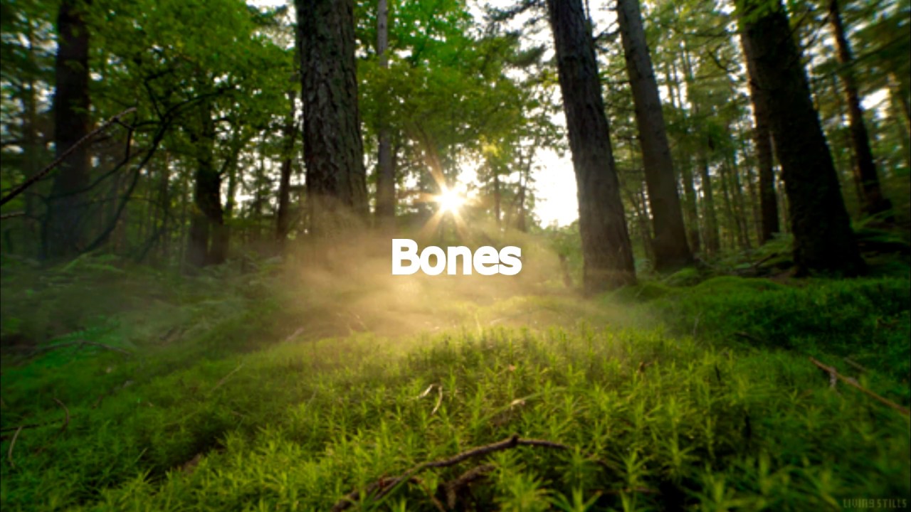 Bones - Sleepmode ( перевод)