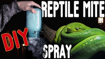 How to Treat Snake Mites [CHEAP & FAST]